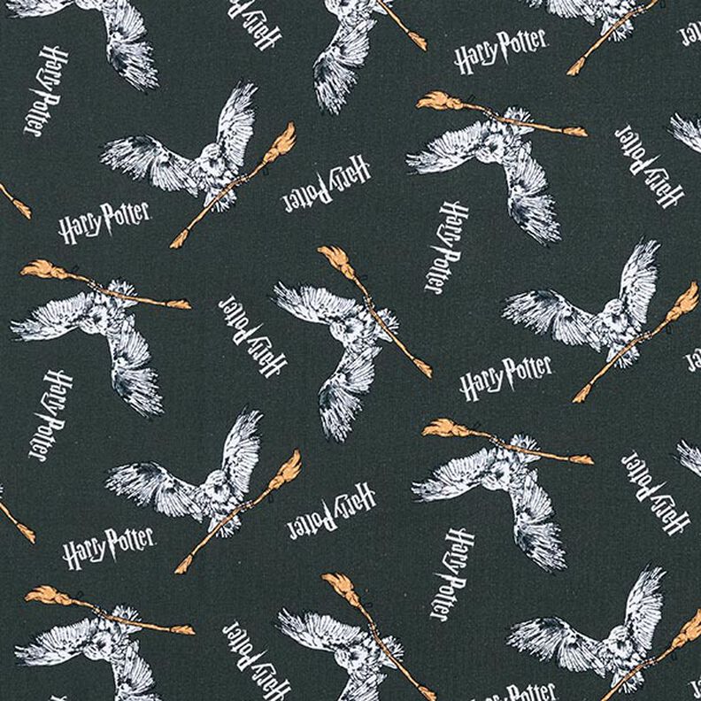Cotton Jersey Licensed Fabric Harry Potter, Hedwig with Broom | Warner Bros. – slate grey,  image number 1