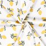 Cotton Jersey large lemons – ivory/gold,  thumbnail number 3