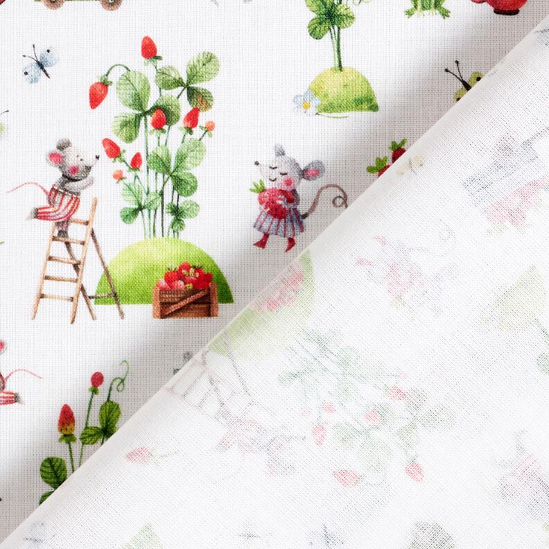 Cotton Poplin Strawberry harvest Digital Print – white,  image number 4