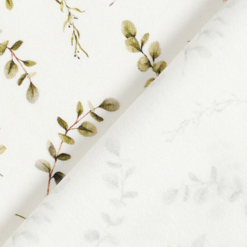 Cotton Jersey eucalyptus tendrils Digital Print  – offwhite,  image number 4