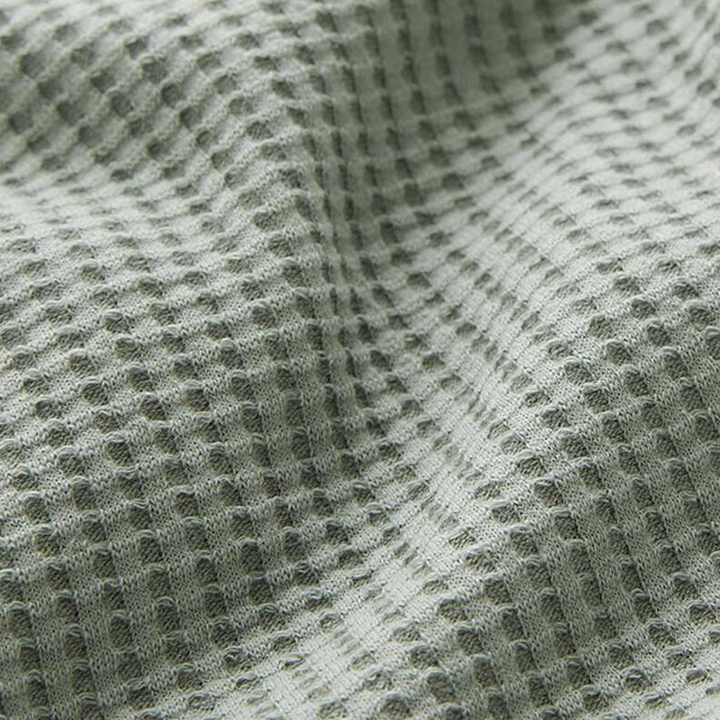 Cotton waffle jersey Plain – reed,  image number 2