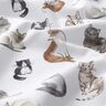 Cotton Poplin happy cats Digital Print | Poppy Fabrics – white,  thumbnail number 2
