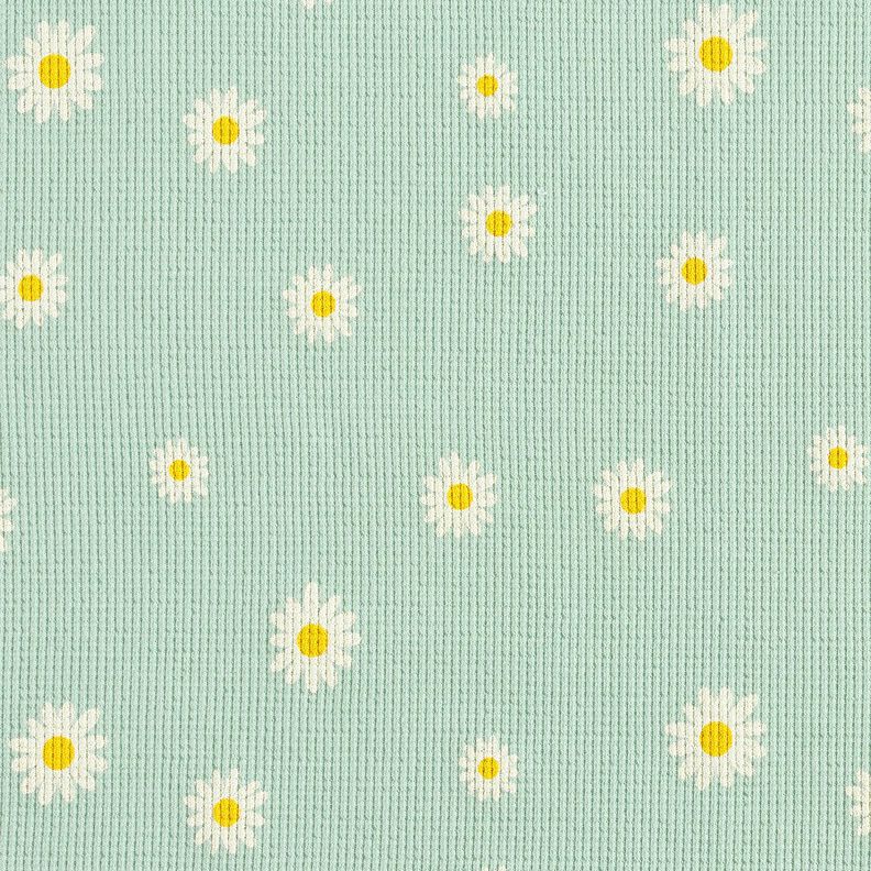 Waffle Jersey Ox-eye daisies – pale mint, image number 1