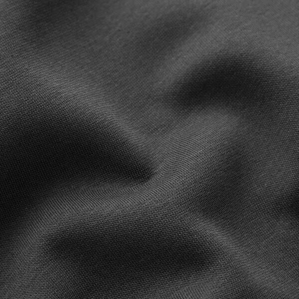Brushed Sweatshirt Fabric – black,  image number 3