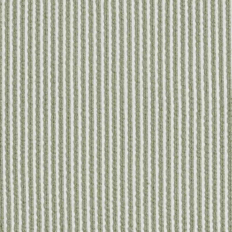 Cotton Jersey Seersucker Fine Stripes – reed/white,  image number 1