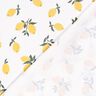 Cotton Jersey large lemons – ivory/gold,  thumbnail number 4