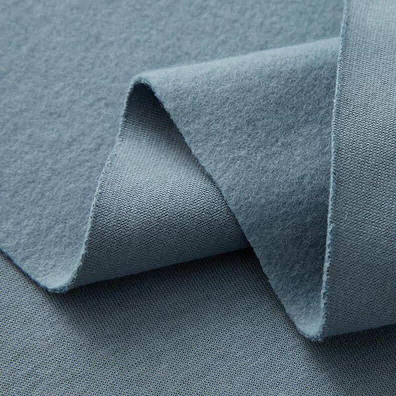 Brushed Sweatshirt Fabric – dove blue,  image number 4