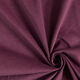 Baby Cord Plain – aubergine,  thumbnail number 1