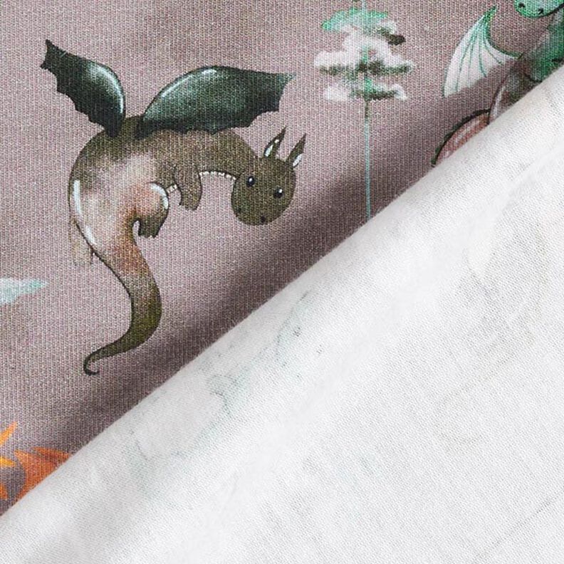 Cotton Jersey Watercolour dragons Digital Print – dark taupe,  image number 4