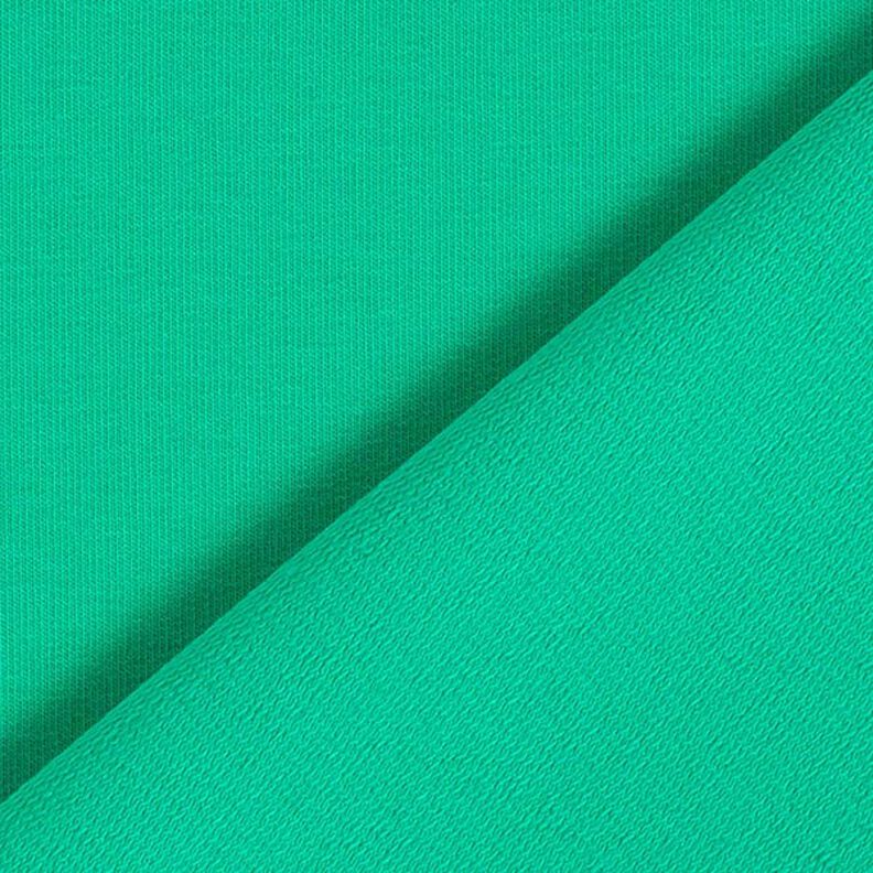 Light French Terry Plain – green, image number 5