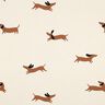 Brushed Sweatshirt Fabric happy dachshunds | Poppy Fabrics – ivory,  thumbnail number 1