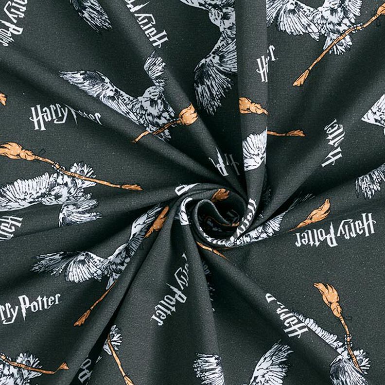Cotton Jersey Licensed Fabric Harry Potter, Hedwig with Broom | Warner Bros. – slate grey,  image number 3