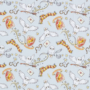 Cretonne Licensed Fabric ‘Harry Potter’ Memorabilia Gryffindor | Warner Bros. – silver grey, 