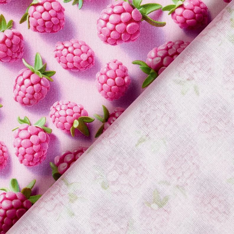 Cotton Poplin bright raspberries – pastel violet/apple green, image number 4