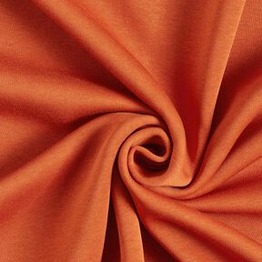 Brushed Sweatshirt Fabric – terracotta, 