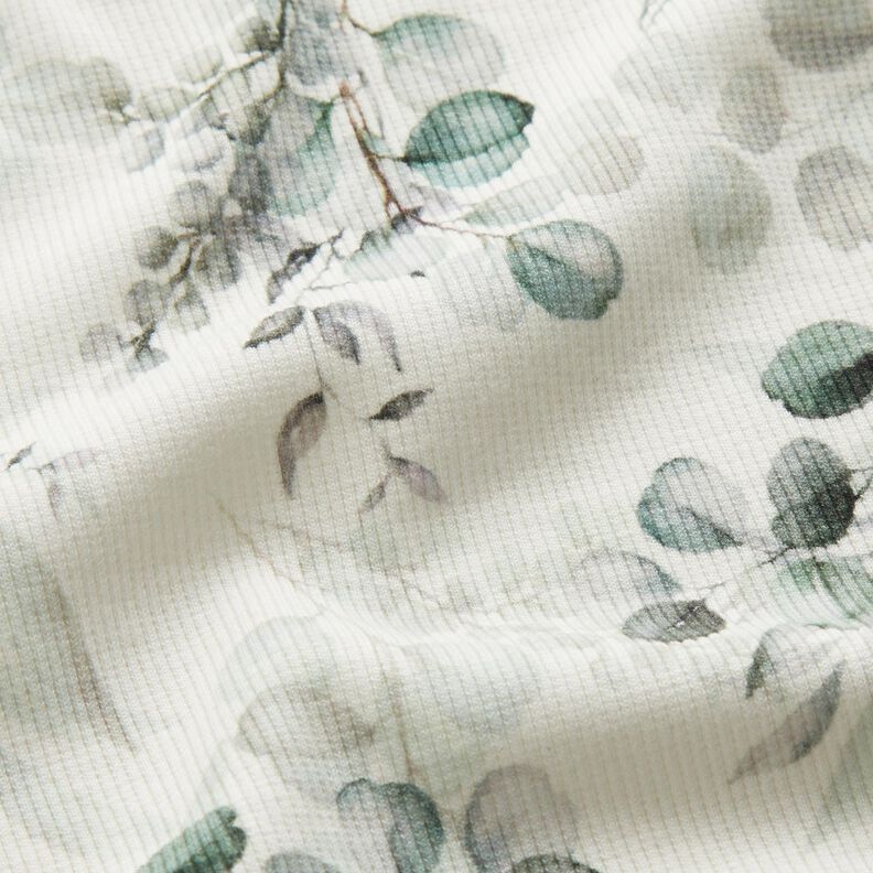 Ribbed Jersey Eucalyptus Digital Print – offwhite,  image number 2