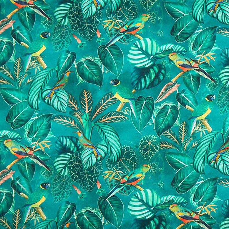 Decor Fabric Canvas Birds of Paradise – dark green,  image number 1