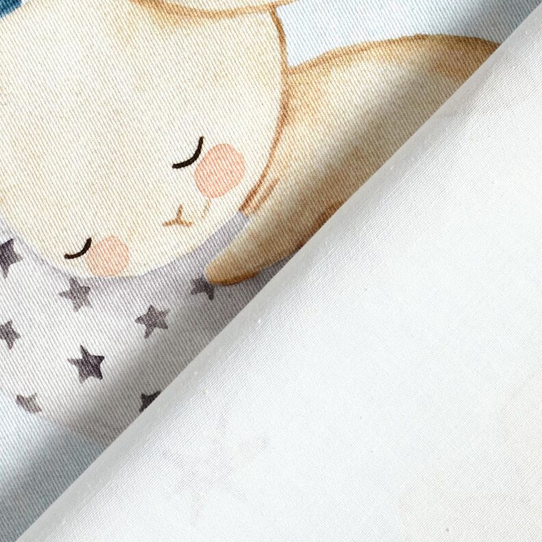 Decor Fabric Cotton Twill Bunny in Dreamland Digital Print – baby blue/denim blue,  image number 4