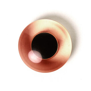 Animal eye 20, 