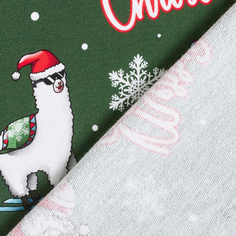 French Terry Santa Claus and Llama | Glitzerpüppi – fir green/chili,  image number 4