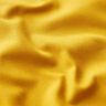 curry yellow