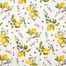 Decor Fabric Canvas Lemons – yellow,  thumbnail number 1