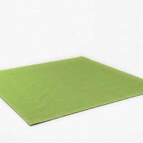 Felt 90 cm / 3 mm thick – light olive, 