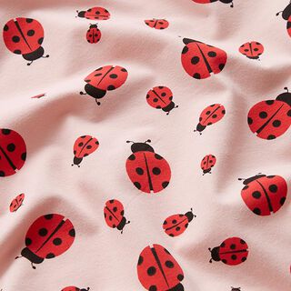 Cotton Jersey Ladybird – rosé, 