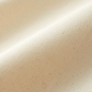 Decor Fabric Half Panama undyed 295 cm – natural, 