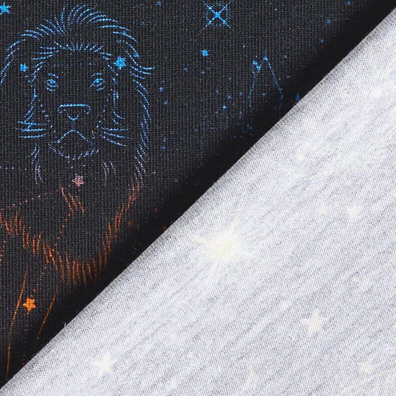 Cotton Jersey Licensed Fabric Heraldic animal constellations of Harry Potter | Warner Bros. – black,  image number 4