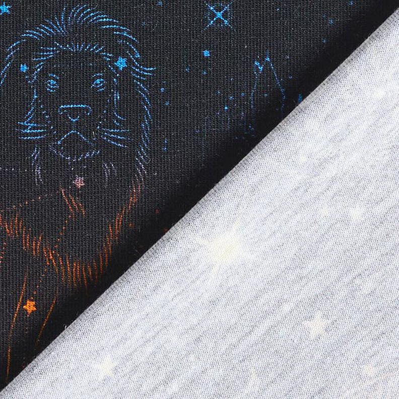 Cotton Jersey Licensed Fabric Heraldic animal constellations of Harry Potter  | Warner Bros. – black,  image number 4