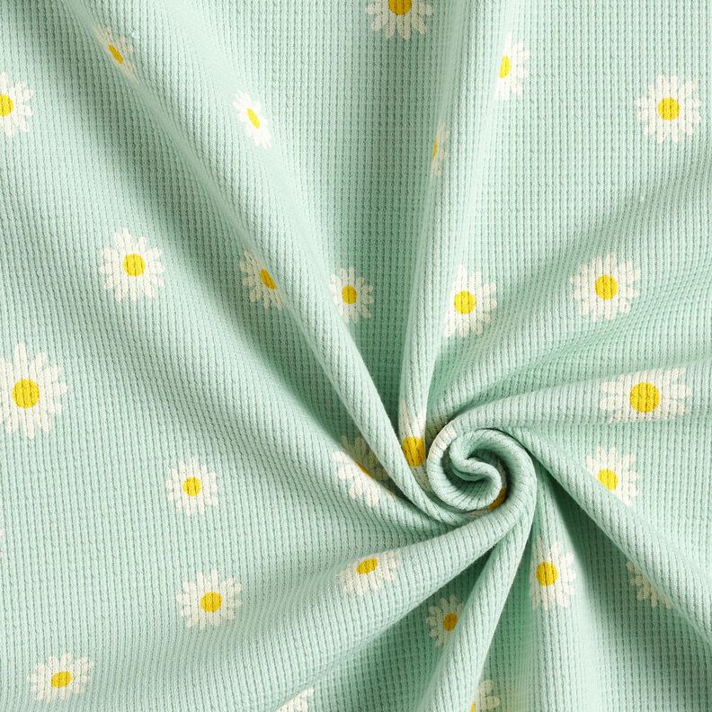 Waffle Jersey Ox-eye daisies – pale mint, image number 3