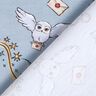 Cotton Jersey Harry Potter Wizarding World | Warner Bros. – light blue,  thumbnail number 4