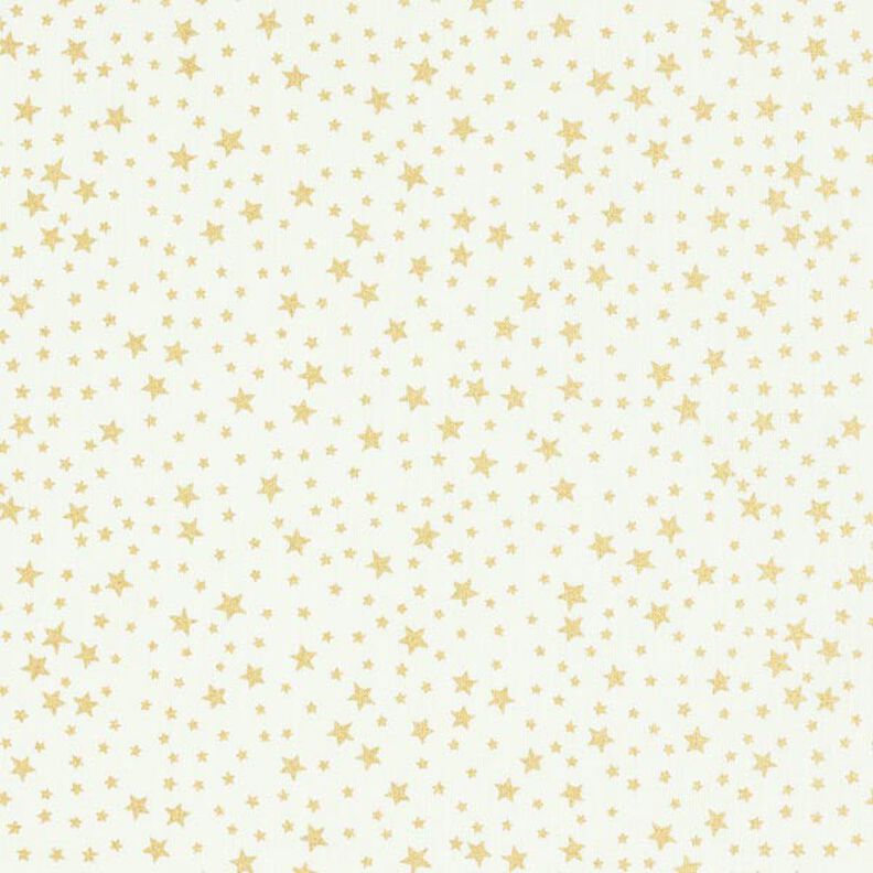 Cotton Cretonne Starry Christmas Sky, small – white, image number 1