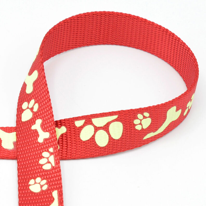 Reflective woven tape Dog leash [20 mm]  – red,  image number 1