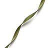 Satin Ribbon [3 mm] – olive,  thumbnail number 3