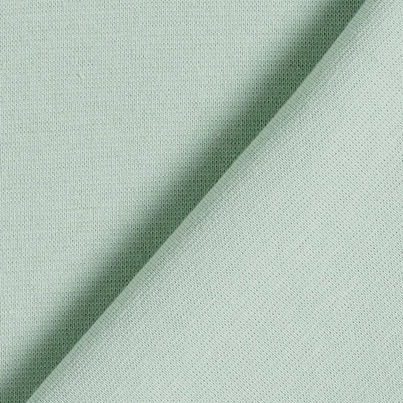 GOTS Cotton Ribbing | Tula – pastel green,  image number 3