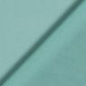 Chiffon – reed,  thumbnail number 4