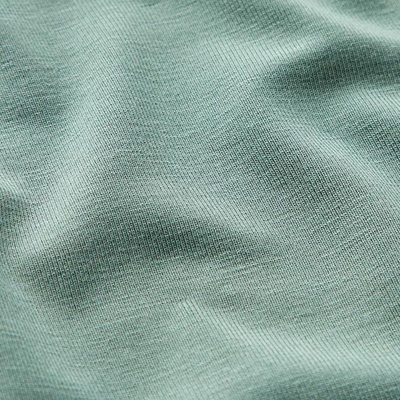 Bamboo Viscose Jersey Plain – reed,  image number 3