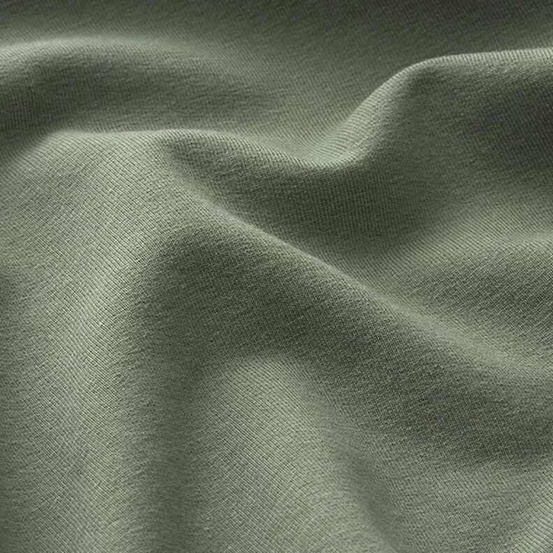 Light Cotton Sweatshirt Fabric Plain – pine,  image number 4