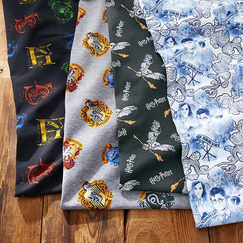 Cotton Jersey Licensed Fabric Harry Potter, Hedwig with Broom | Warner Bros. – slate grey,  image number 5