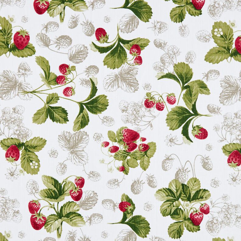 Decor Fabric Panama strawberries – white/carmine,  image number 1