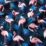 Cotton Jersey Flamingo | Glitzerpüppi – midnight blue/light pink,  thumbnail number 2