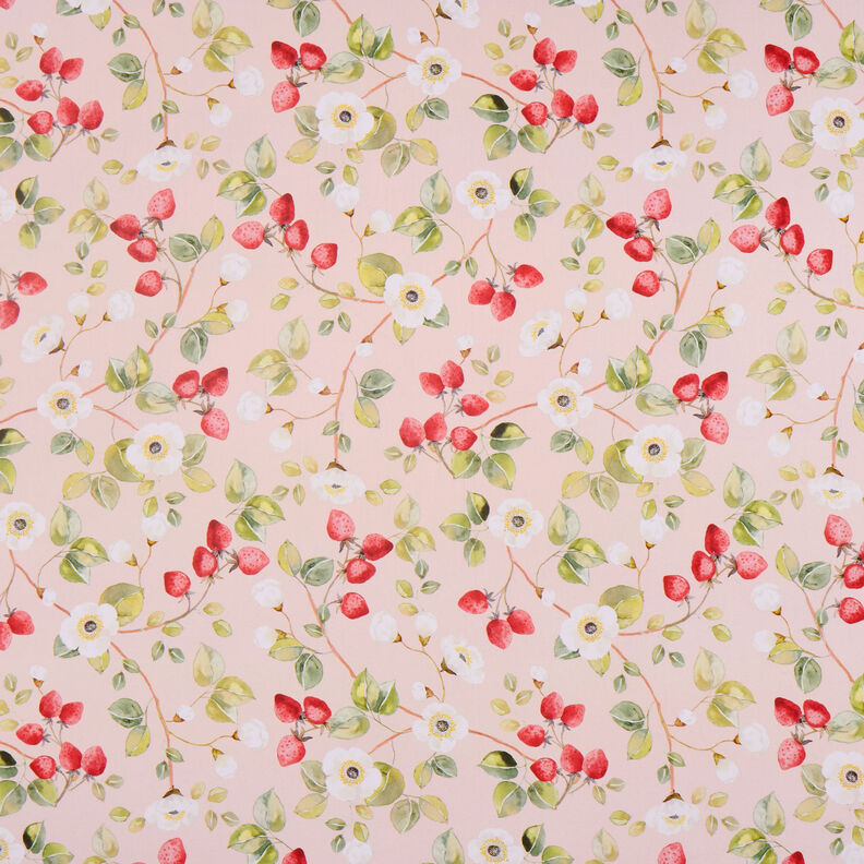 Cotton Poplin Strawberry blossoms – rosé/red,  image number 1