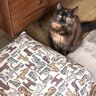 Decor Fabric Half Panama cats – natural,  thumbnail number 6