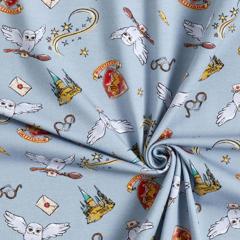 Cotton Jersey Harry Potter Wizarding World | Warner Bros. – light blue,  image number 3