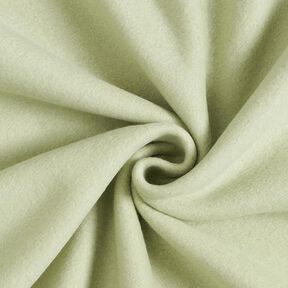 Cotton Fleece Plain – reed, 