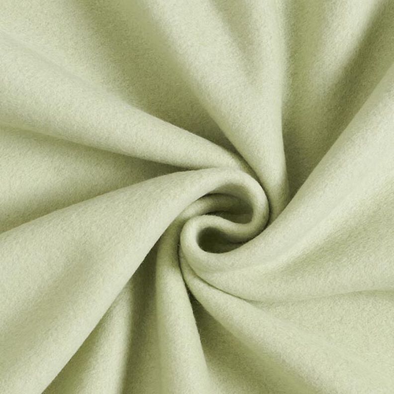 Cotton Fleece Plain – reed,  image number 1