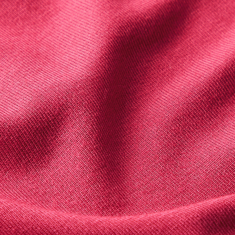 Tencel Modal Jersey – berry,  image number 2