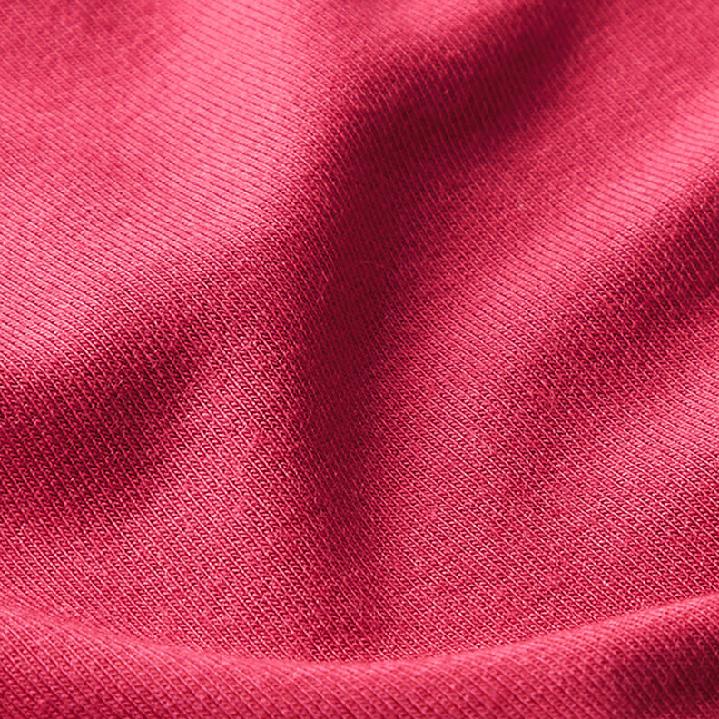 Tencel™ Modal Jersey – berry,  image number 2